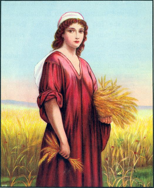 Ruth gathers grain